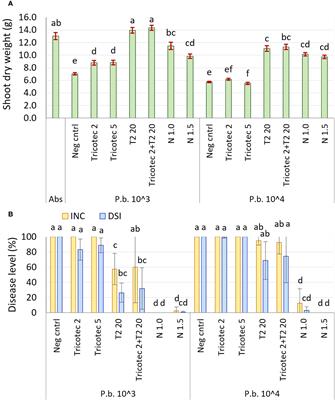 The potential of PGPR and Trichoderma-based bioproducts and resistant cultivars as tools to manage clubroot disease in cruciferous crops